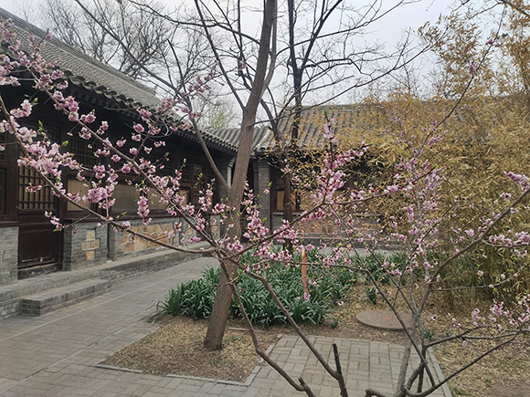 北京四合院的優(yōu)點(diǎn)